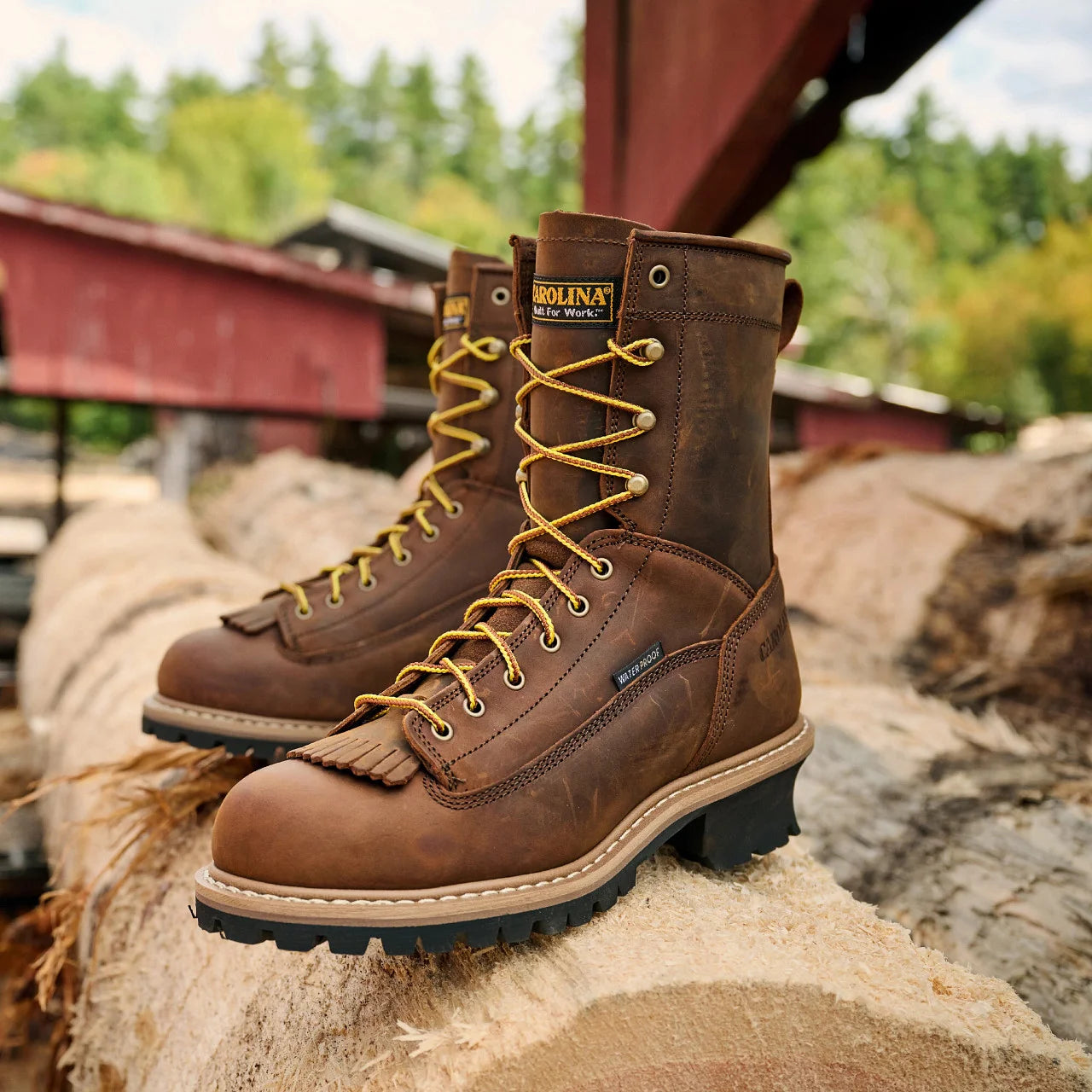 vp:4ebceaa41b91c358b7cc192c712a64239943a549