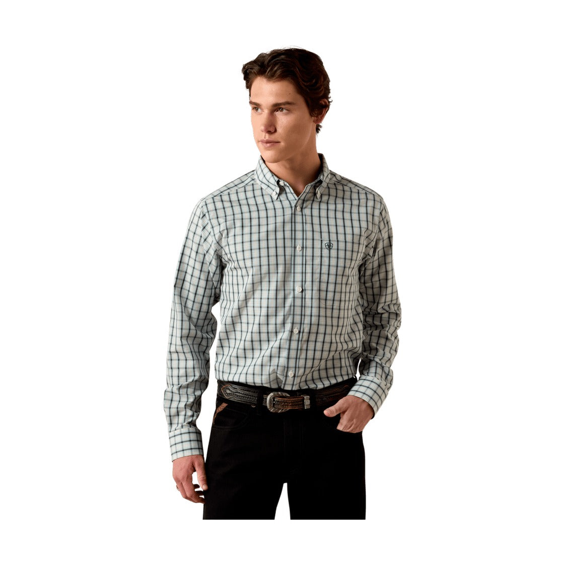 Wrinkle Free Bern Fitted Shirt
